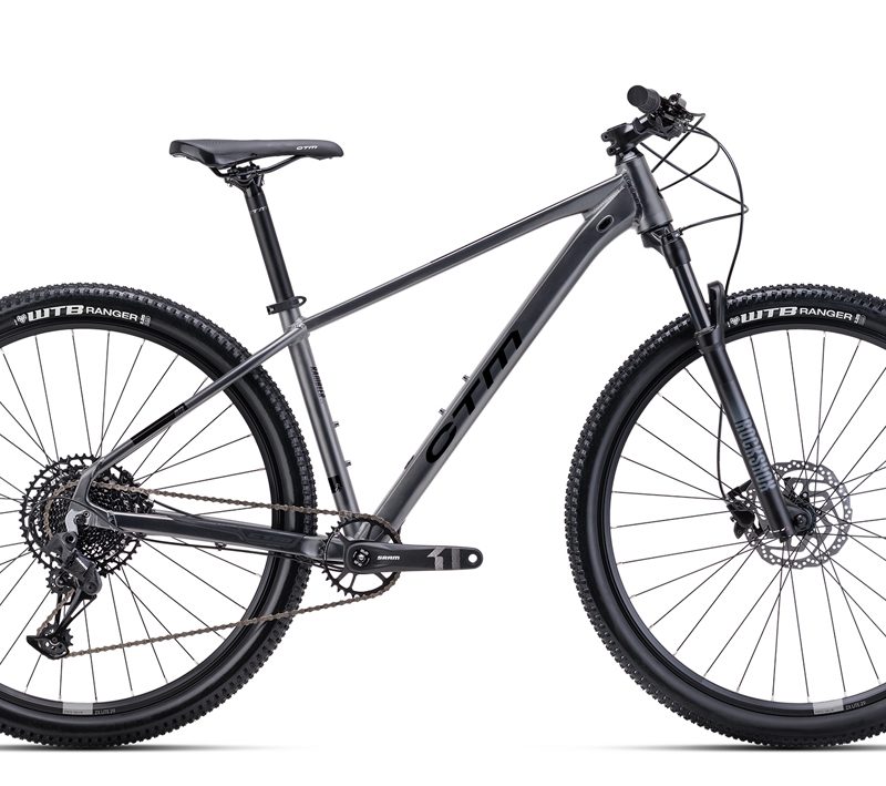 Dviratis CTM Rambler 4.0 29"