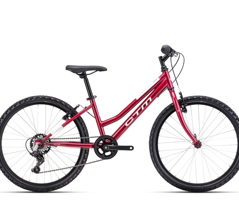 Dviratis CTM Mony 24"