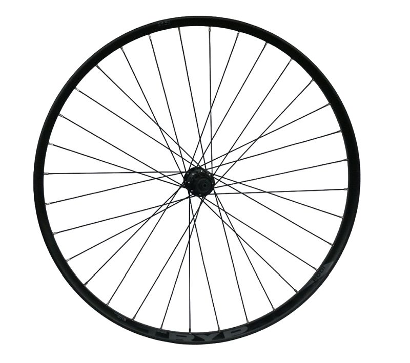 Ratas galinis 29" Rodi Tryp 30 EVO QR Center Lock FH