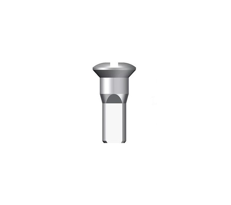Stipinų galvutė Sapim 13G Round Head Brass Silver