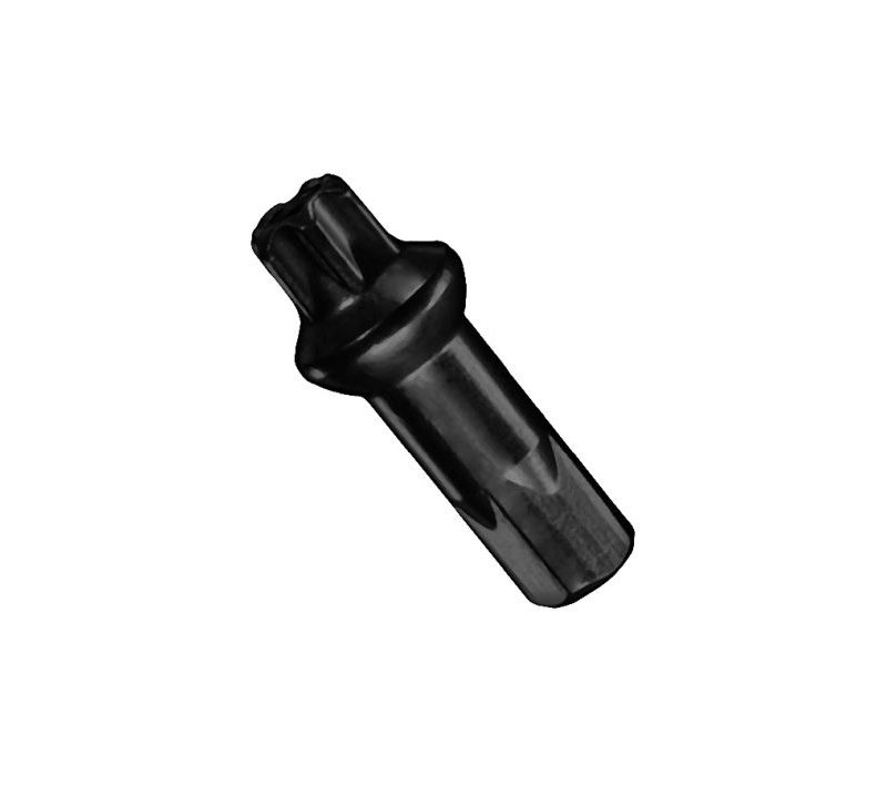 Stipinų galvutė DT Swiss Pro Lock Squorx Pro Head 14G 2x15 mm BRASS