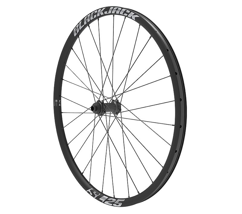 Ratas priekinis 700C BlackJack SL 25 ASY 12x100 Center Lock SB