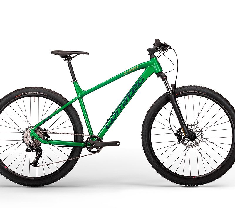 Dviratis Corratec X-Vert Elite 29"