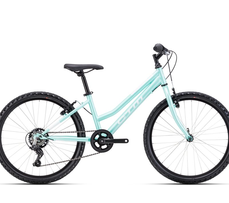 Dviratis CTM Mony 24"
