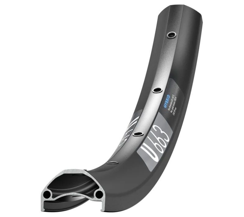 Ratlankis DT Swiss 29" U 663 E-Bike