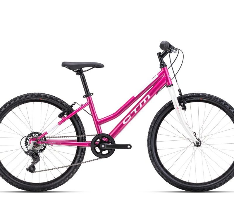 Dviratis CTM Mony 24"