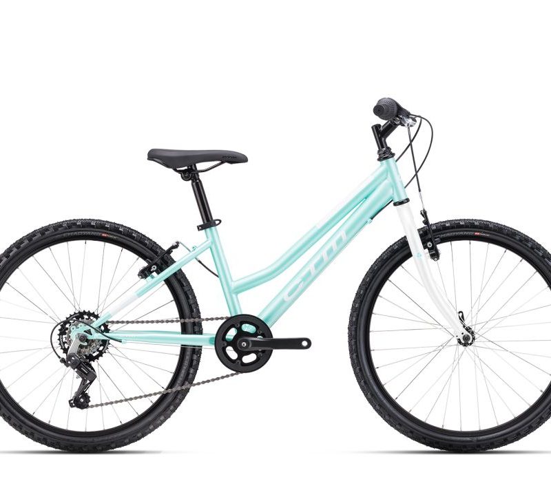 Dviratis CTM Mony 24"