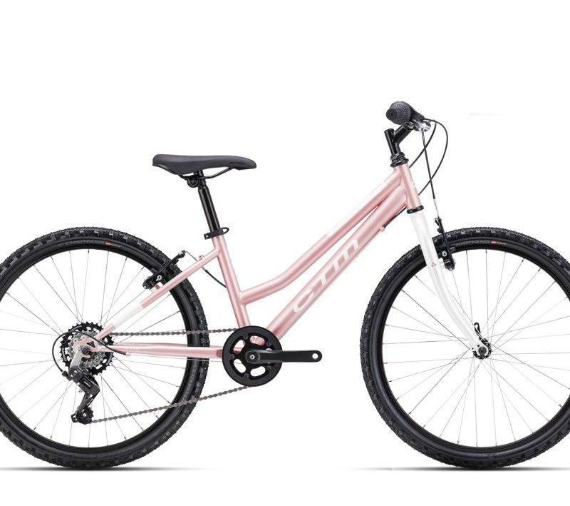 Dviratis CTM Mony 24"