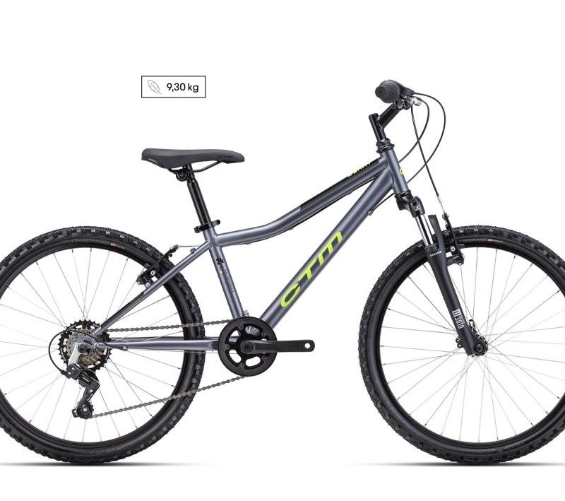 Dviratis CTM Berry 24"