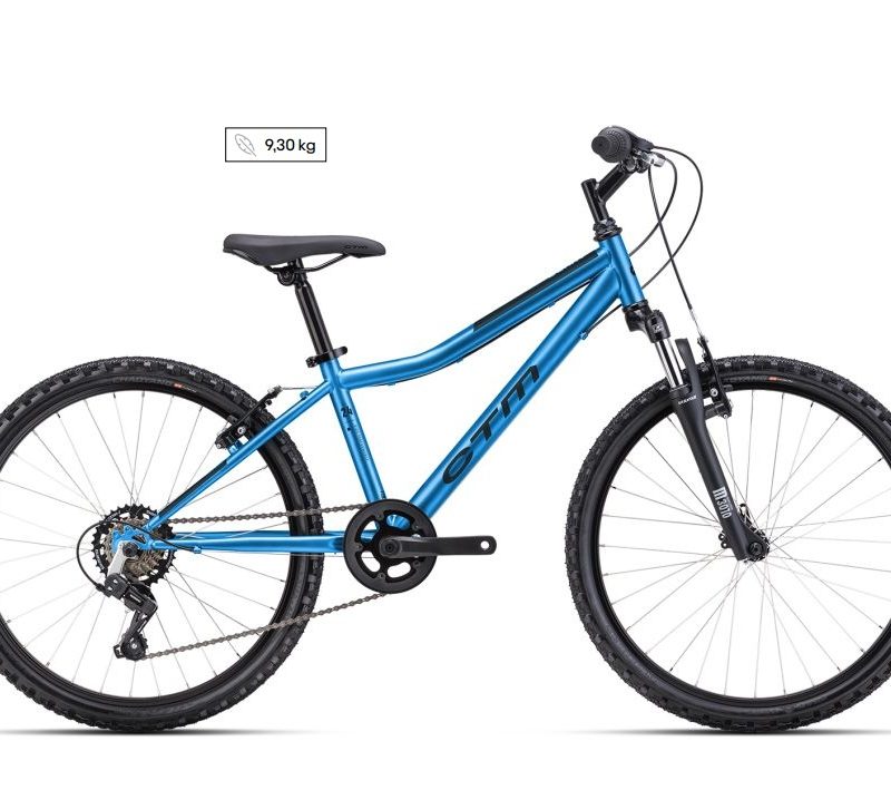Dviratis CTM Berry 24"