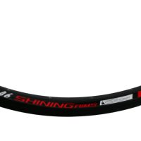 Ratlankis 27.5" Shining CT-46 2