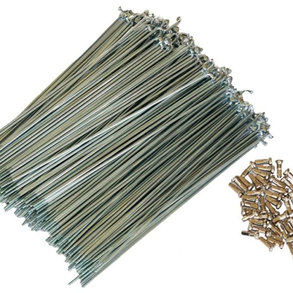 Stipinai Pillar 14G