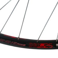 Ratas galinis Shining 29" DB-X25 QR 6-Bolt FH 3