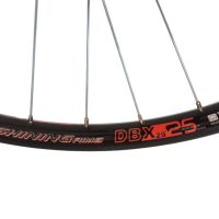 Ratas galinis 29" Shining DB-X25 QR SB 6-Bolt FH 5