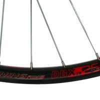 Ratas galinis Shining 29" DB-X25 QR 6-Bolt MF 3