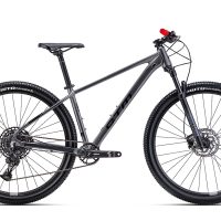 Dviratis CTM Rambler 4.0 Matinė Juoda