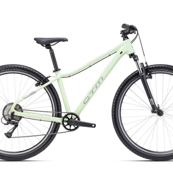 Dviratis CTM Charisma 1.0 dydis XS Pastelinė Pilka L 29"