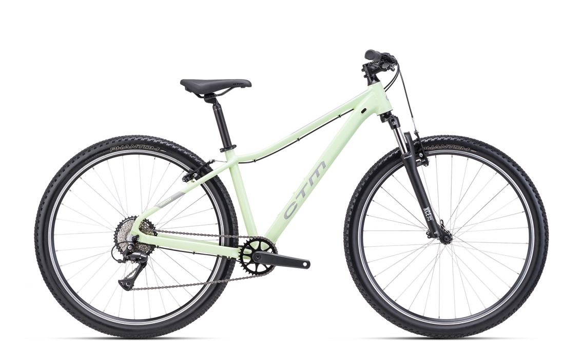 Dviratis CTM Charisma 1.0 dydis XS Pastelinė Pilka L 29"