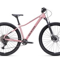 Dviratis CTM Charisma 5.0 dydis L