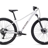 Dviratis CTM Charisma 1.0 dydis XS Matinė Pilka M 29"