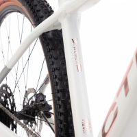Dviratis CTM Charisma 3.0 29" 6