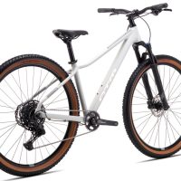 Dviratis CTM Charisma 3.0 29" 2