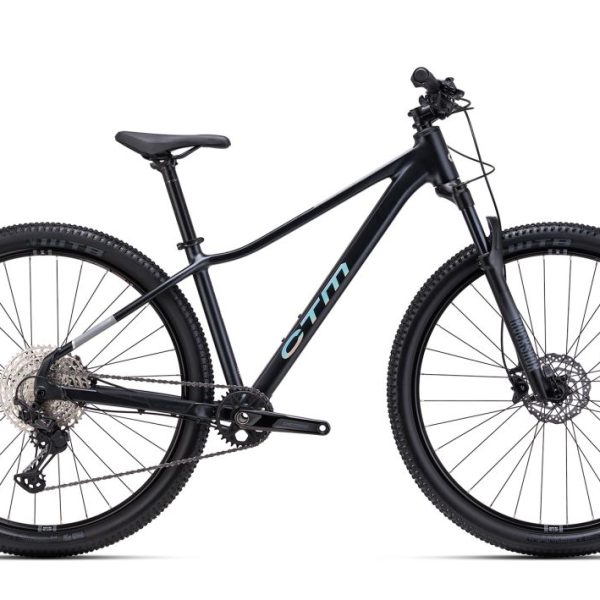 Dviratis CTM Charisma 5.0 dydis L