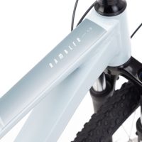 Dviratis CTM Rambler 1.0 #3