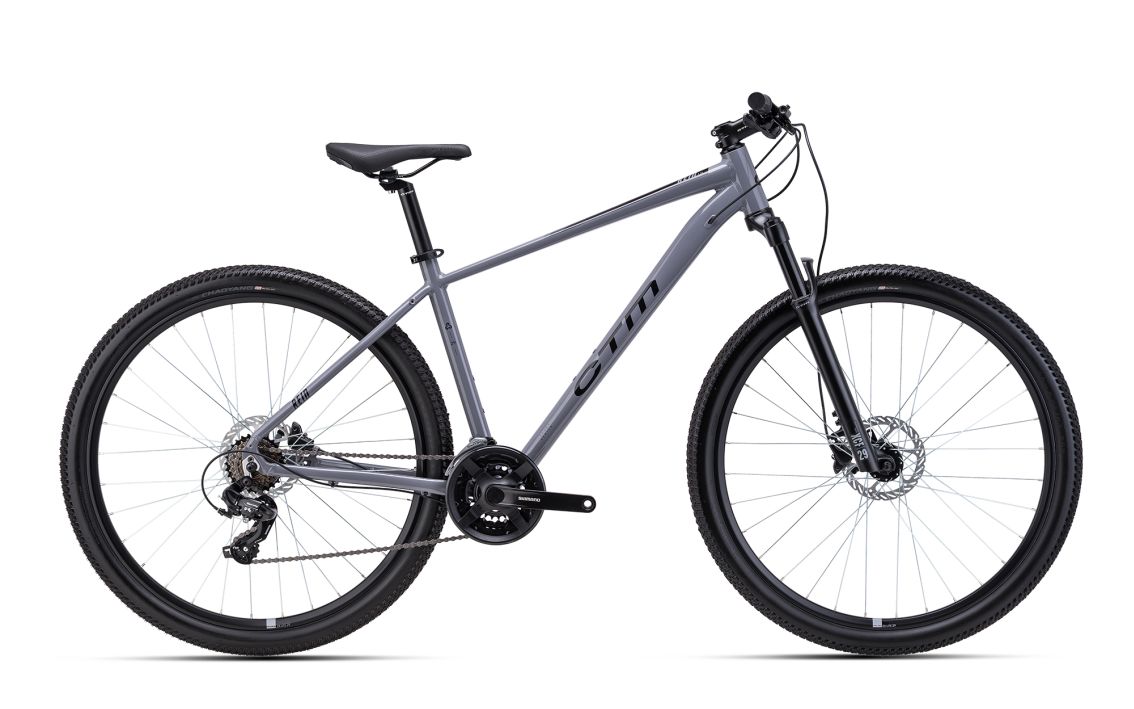 Dviratis CTM Rein 1.0 Pilka