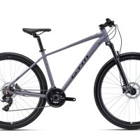 Dviratis CTM Rein 2.0 Pilka 29"