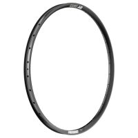 Ratlankis DT Swiss E 593 #2
