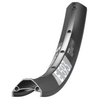 Ratlankis DT Swiss E 593