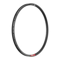 Ratlankis DT Swiss FR 541 #2