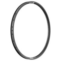 Ratlankis DT Swiss U 663 E-Bike #2