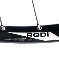 Ratas galinis Rodi Tryp 30 EVO QR Center Lock FH 3