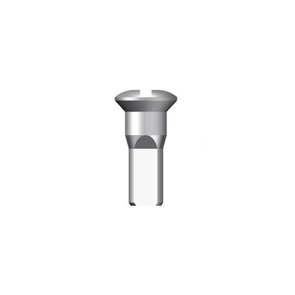Stipinų galvutė Sapim 13G Round Head Brass Silver