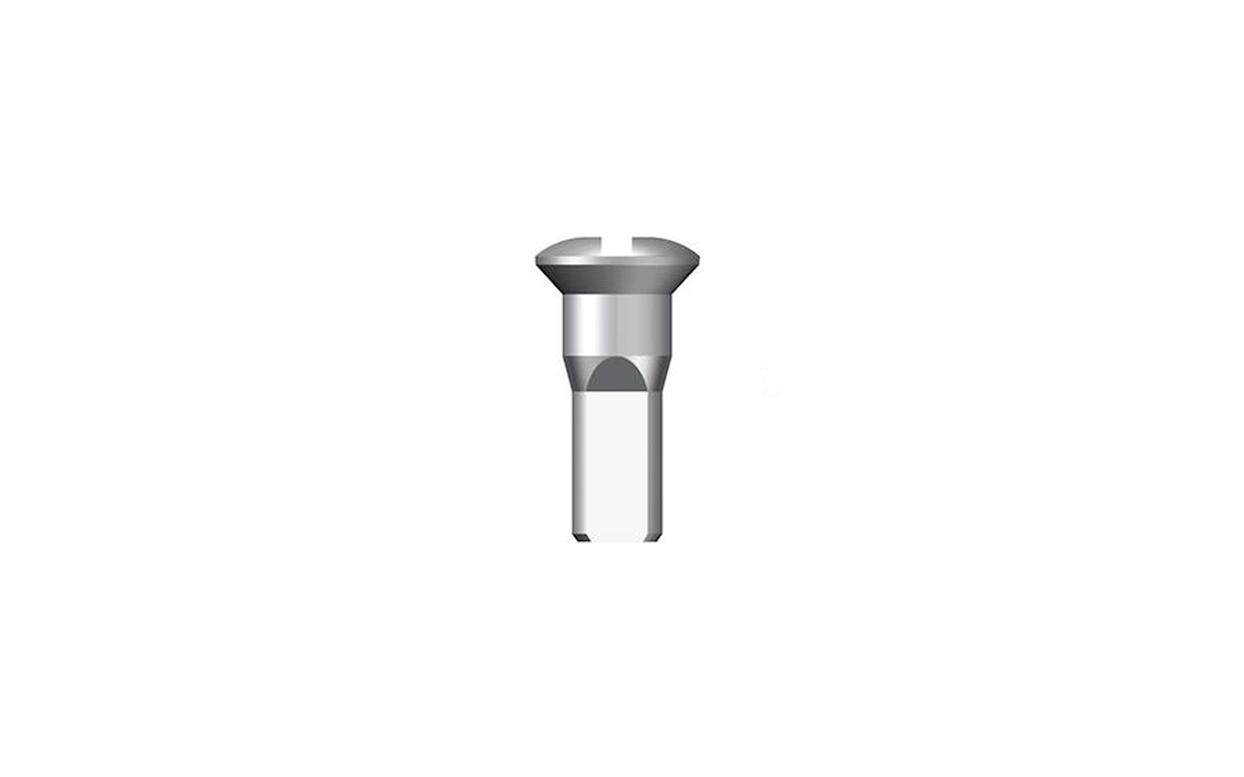 Stipinų galvutė Sapim 13G Round Head Brass Silver
