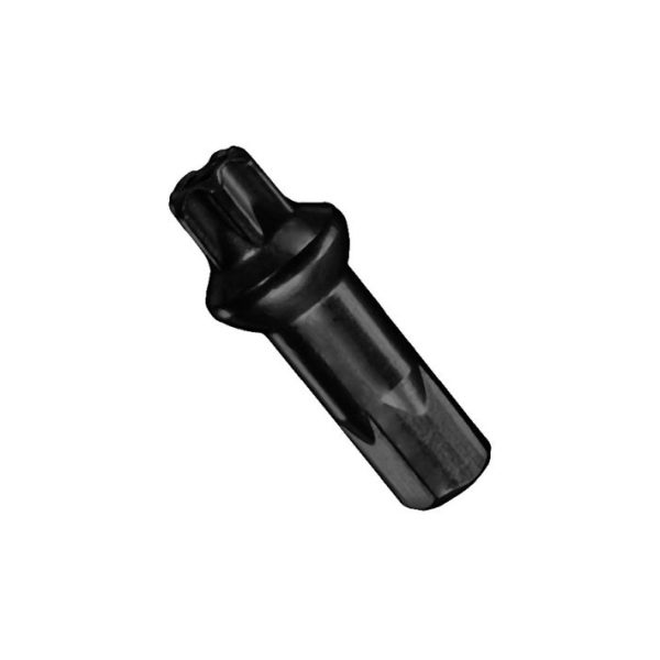 Stipinų galvutė DT Swiss Pro Lock Squorx Pro Head 14G 2x15 mm BRASS