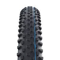 Padanga dviračiui Schwalbe 29 x 2.35 Racing Ray 2