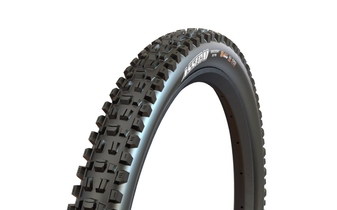Padanga dviračiui Maxxis WT Assegai TR