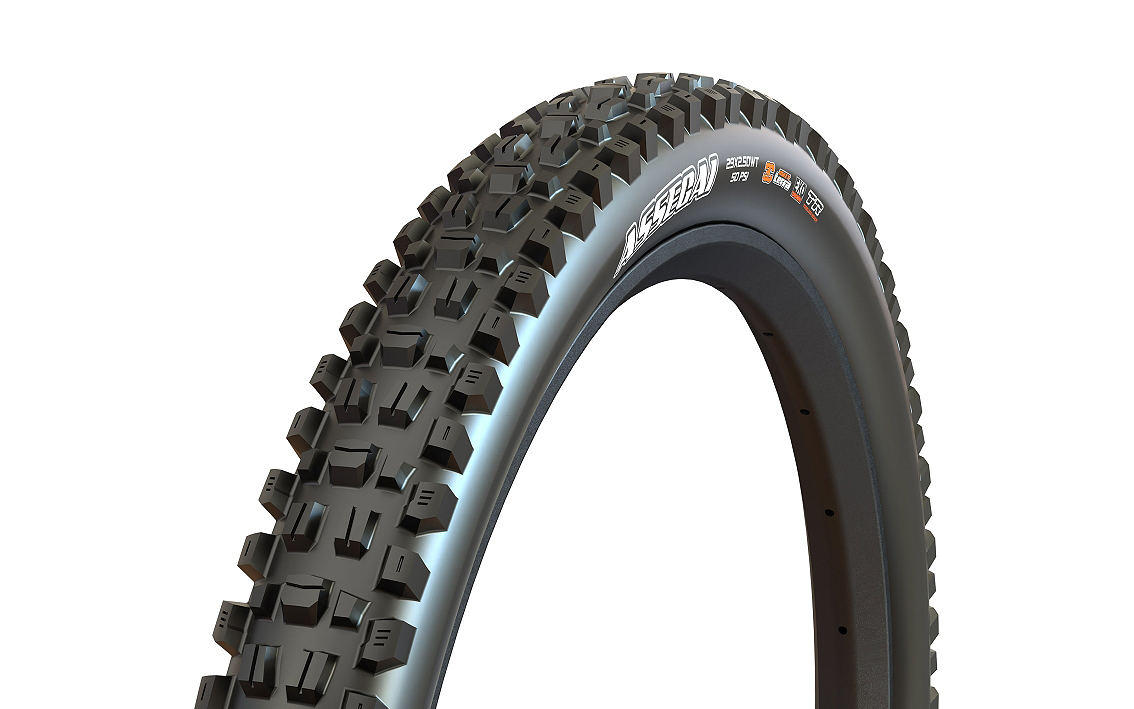 Padanga dviračiui Maxxis WT Assegai TR