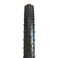 Padanga dviračiui Maxxis WT Minion DHF TR