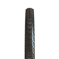 Padanga dviračiui Maxxis 29 x 2.25 Aspen TR 2