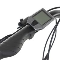 Dviratis Levit Musca Urban HD 468 e-Trekking #4