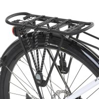 Dviratis Levit Musca MX 630 e-Trekking 28" 3