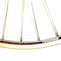 Ratas galinis 28" Shining CT-46 QR FH 2