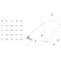 Dviratis Corratec MTC Expert Gent 2