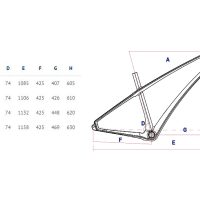 Dviratis Corratec Revo Bow SL Pro 29" dydis 54 cm 2