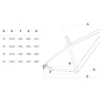 Dviratis Corratec X-Vert Pro Team 29" dydis 49 cm 2