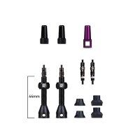 Ventilių bekamerinių komplektas Barkeeper Tubeless Valves 44mm Dynamic